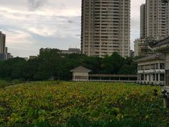 -荔湾湖公园