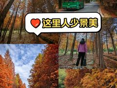 -南京市无想山景区