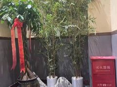 -先启半步颠·川菜小炒