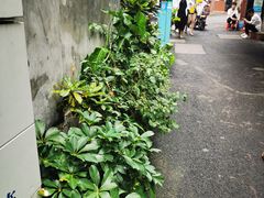 -老宅原住民沙茶面精品小吃(龙头路店)