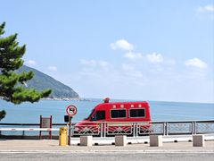 -单家老院·院子里的青岛菜(沙子口店)
