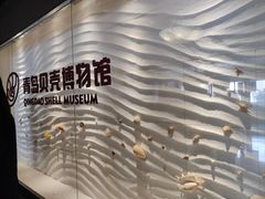 -青岛贝壳博物馆