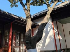 -南京中国近代史遗址博物馆(南京总统府)