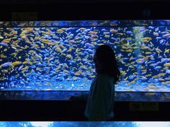 -成都浩海立方海洋公园