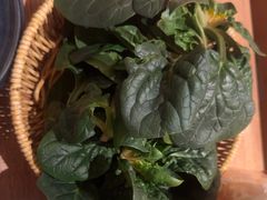 -巴奴毛肚火锅(龙湖锦艺城店)