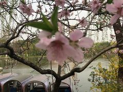 -荆川公园