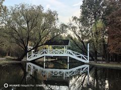 -上海共青森林公园