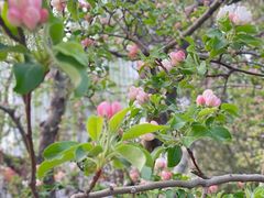 -元大都城垣遗址公园