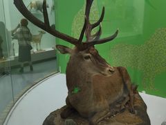 -国家自然博物馆