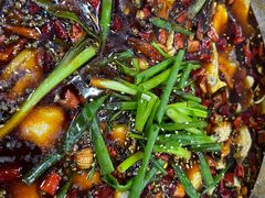 -乡土特色.冷锅鱼.牦牛肉汤锅