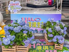 -HALO广场(梨园路店)