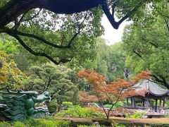 -申粤轩酒楼·三十年粤菜经典(丁香花园店)