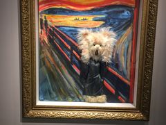 -成都泰迪熊博物馆