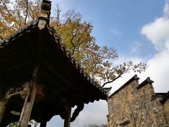 -塔川景区