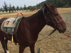 -威海华夏城景区