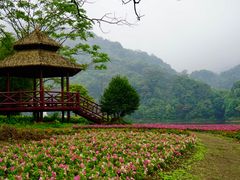 -广州市石门国家森林公园