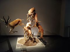 -山东博物馆
