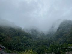 -牛背梁国家森林公园