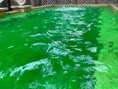 -春晖园度假酒店温泉