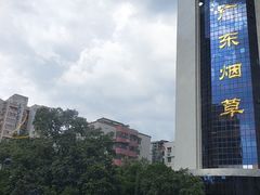 -中山大学附属第三医院(天河院区)