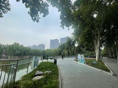 -黄村公园