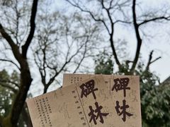 -西安碑林博物馆