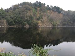 -王借岗森林公园