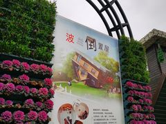 -金山农民画村-枫泾波兰倒置屋