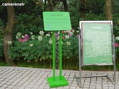 -西湖风景区-江洋畈生态公园