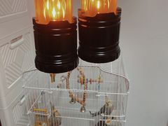 -麦德龙(包河店)