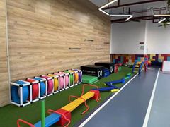 -早慧树儿童感觉统合体能训练中心(市北校区)