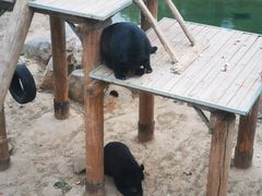 -石家庄市动物园