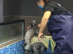 -宠宠熊宠物美容(星湖街店)