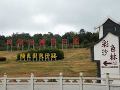 -彩色沙林风景区