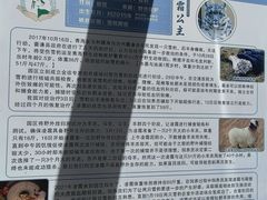-青藏高原野生动物园