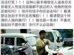 盛京一禾-盛京一禾