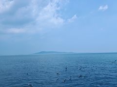 -悦海公园
