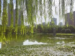 -木塔寺遗址生态公园