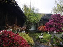 -长兴太湖图影湿地文化园