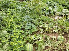 -金堂县云顶石城风景区