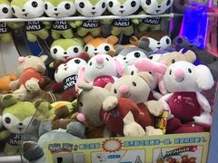 -奇奇乐园电玩城(立丰国际购物广场店)