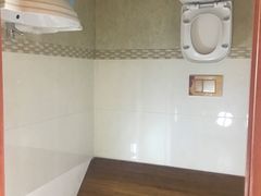 -金山农民画村-枫泾波兰倒置屋