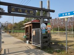 -上海长兴岛郊野公园