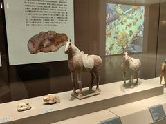 -西安大唐西市博物馆