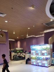 -MELAND CLUB亲子乐园•派对(石家庄万象城店)