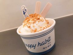 -海比甜店·意式手工冰激淋happy habit gelato