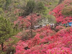 -木兰云雾山
