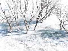 -黑龙潭风景区