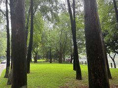 -广州雕塑公园