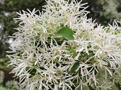 -国家植物园